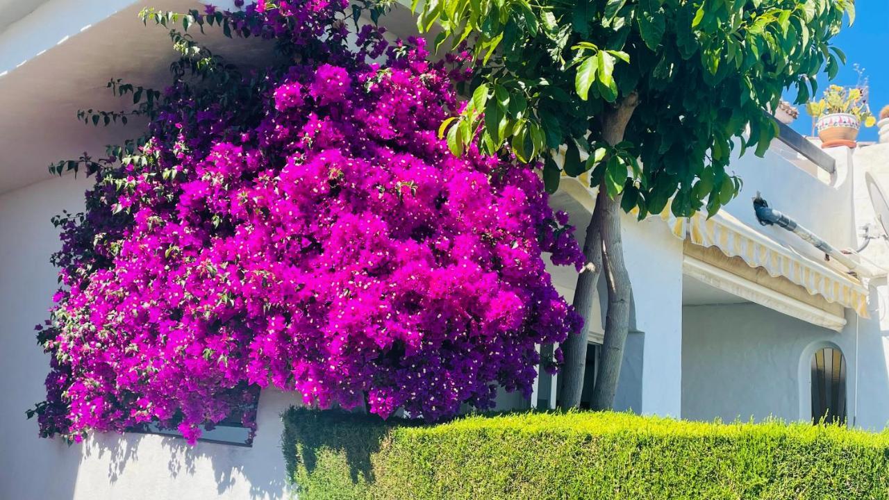 Modern Garden Apartment With A Fantastic Sea View And A Private Garden Sitio de Calahonda Buitenkant foto